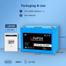 Load image into Gallery viewer, 12V 100AH LiFePO4 Deep Cycle Lithium Battery / Bluetooth /Self-heating / IP65